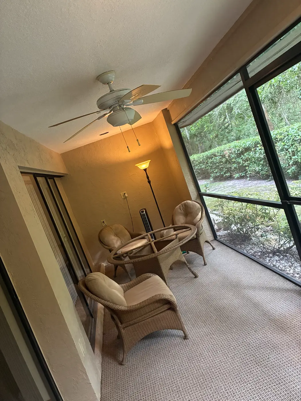 Screened lanai painting — after